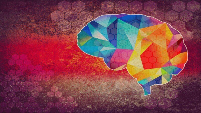 Ein Gehirn symbolisiert die psychologischen Herausforderungen des Tradings